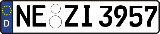 NE-ZI3957