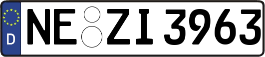 NE-ZI3963