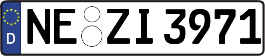 NE-ZI3971