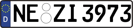 NE-ZI3973
