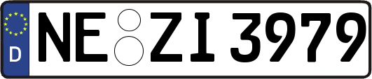 NE-ZI3979