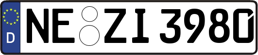 NE-ZI3980