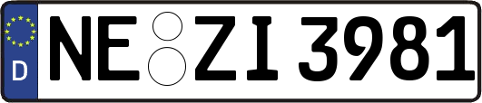 NE-ZI3981