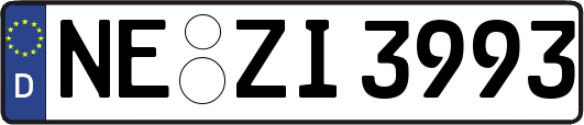 NE-ZI3993