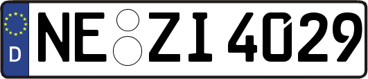 NE-ZI4029