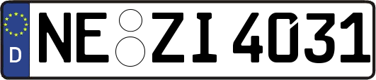 NE-ZI4031