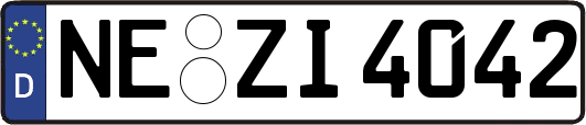 NE-ZI4042