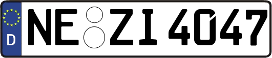NE-ZI4047