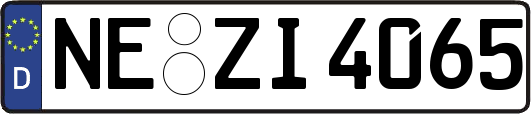 NE-ZI4065