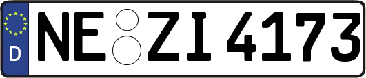 NE-ZI4173