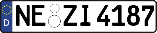 NE-ZI4187