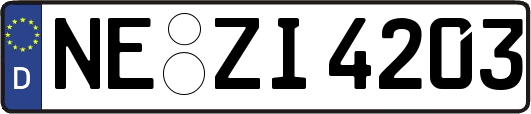 NE-ZI4203