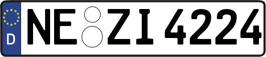 NE-ZI4224