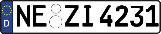 NE-ZI4231