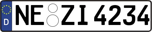 NE-ZI4234