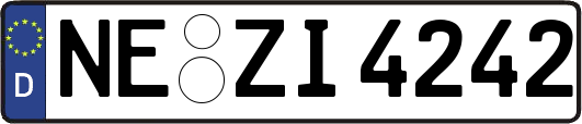 NE-ZI4242