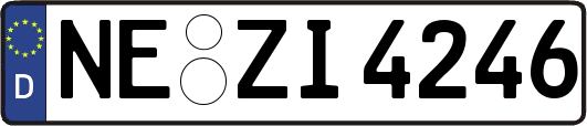 NE-ZI4246