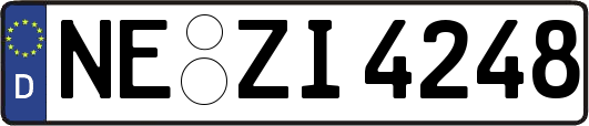 NE-ZI4248