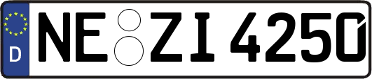 NE-ZI4250