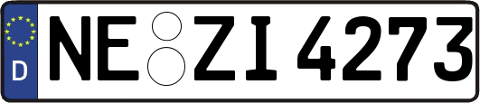 NE-ZI4273