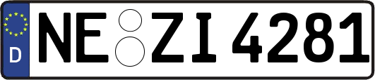NE-ZI4281