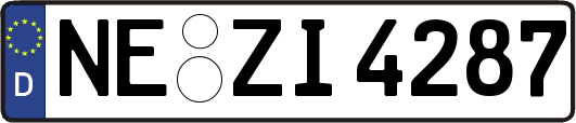 NE-ZI4287