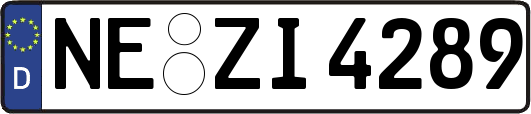NE-ZI4289