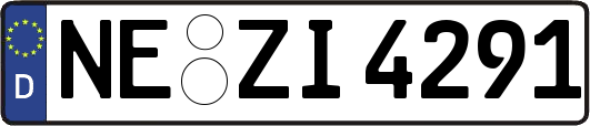 NE-ZI4291