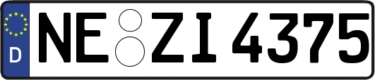 NE-ZI4375