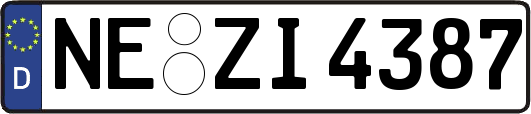 NE-ZI4387