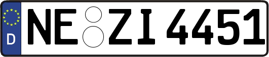 NE-ZI4451