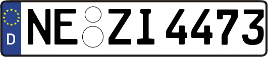 NE-ZI4473