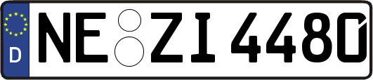 NE-ZI4480
