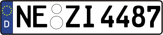 NE-ZI4487