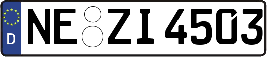 NE-ZI4503