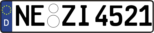 NE-ZI4521