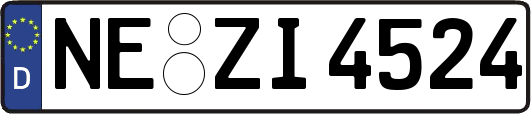 NE-ZI4524