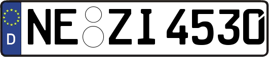 NE-ZI4530