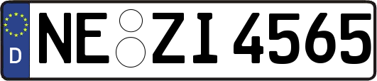NE-ZI4565