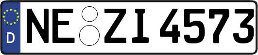 NE-ZI4573