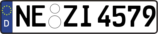 NE-ZI4579