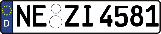 NE-ZI4581