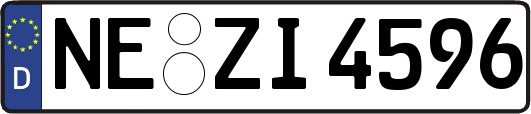 NE-ZI4596