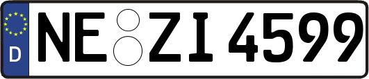 NE-ZI4599
