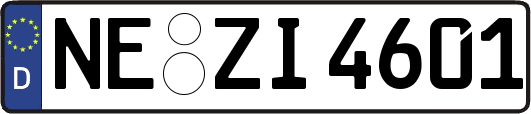 NE-ZI4601