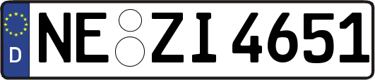 NE-ZI4651