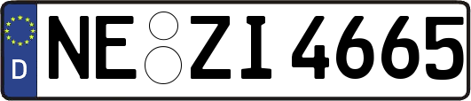 NE-ZI4665