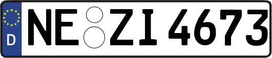 NE-ZI4673