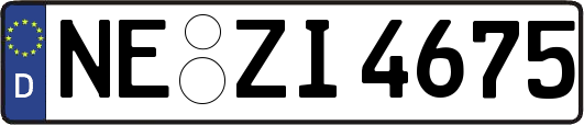 NE-ZI4675