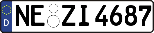 NE-ZI4687